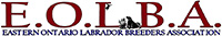 Eastern Ontario Labrador Breeders
        logo