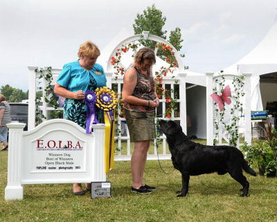 Minefalls New York Sack Exchange