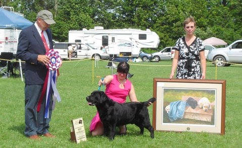 E.O.L.B.A. 2009 Specialty Show BOB