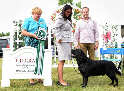 Ch Boreal Kosto Preston